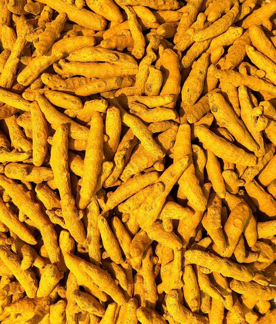 Turmeric image 2